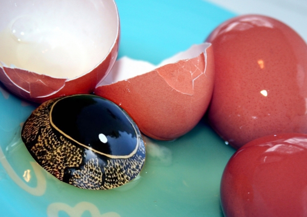 Creation of Undeveloped egg: Step 1